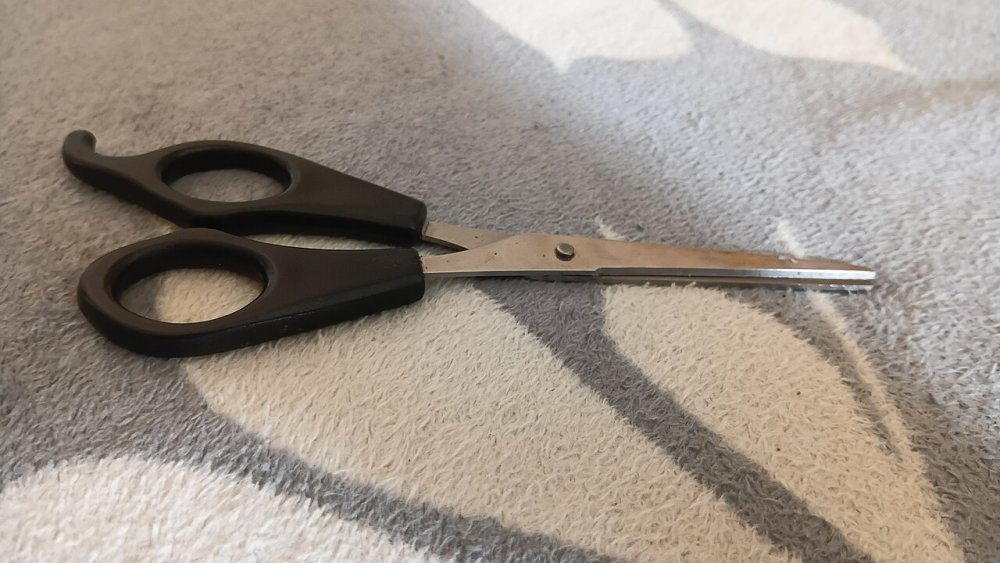 Small household scissors